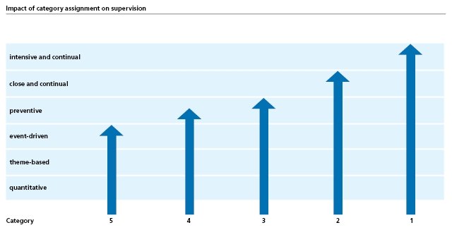 Impact of category assignment on supervision