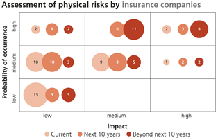 Assessment of physical risks by insurance companies