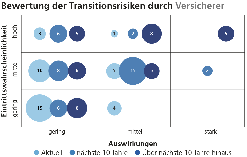 Assessment of transition risks by insurance companies