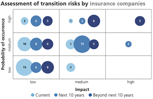 Assessment of transition risks by insurance companies